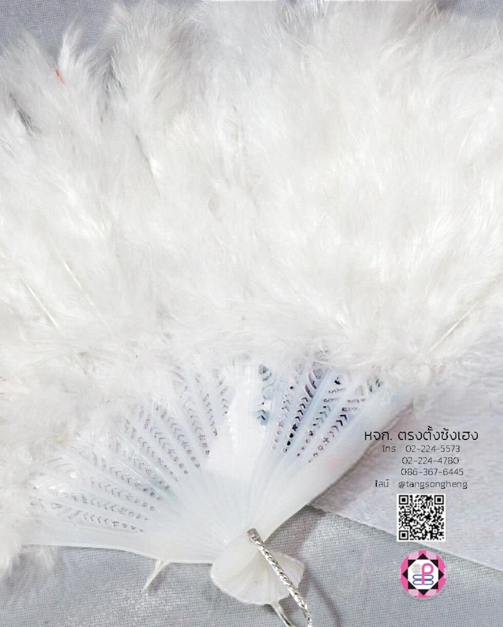 พัด, พัดกระดาษ, พัดสเปน, พัดจีน, พัดมือ, พัดประดับ, รำพัด