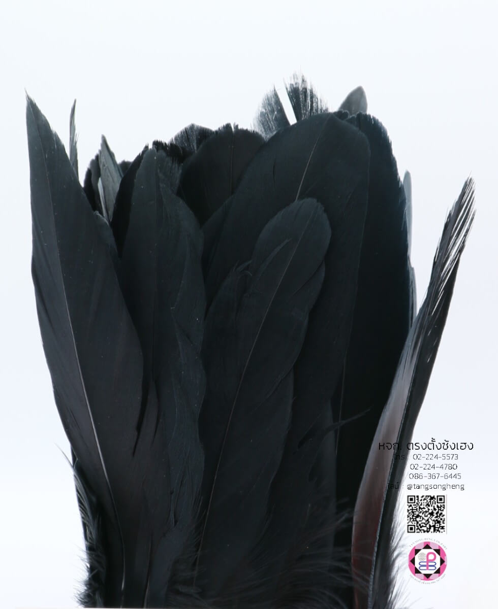 ขนนกก้านเย็บเป็นแพ ยาว 2 เมตร สีดำ