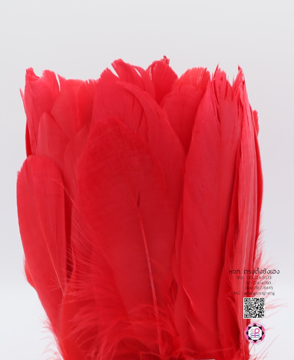 ขนนกก้านเย็บเป็นแพ ยาว 2 เมตร สีแดง
