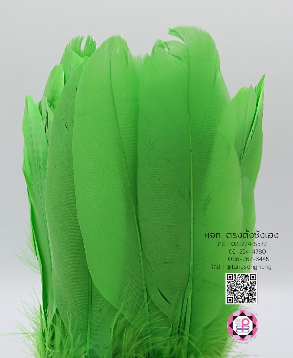 ขนนกก้านเย็บเป็นแพ ยาว 2 เมตร สีเขียว