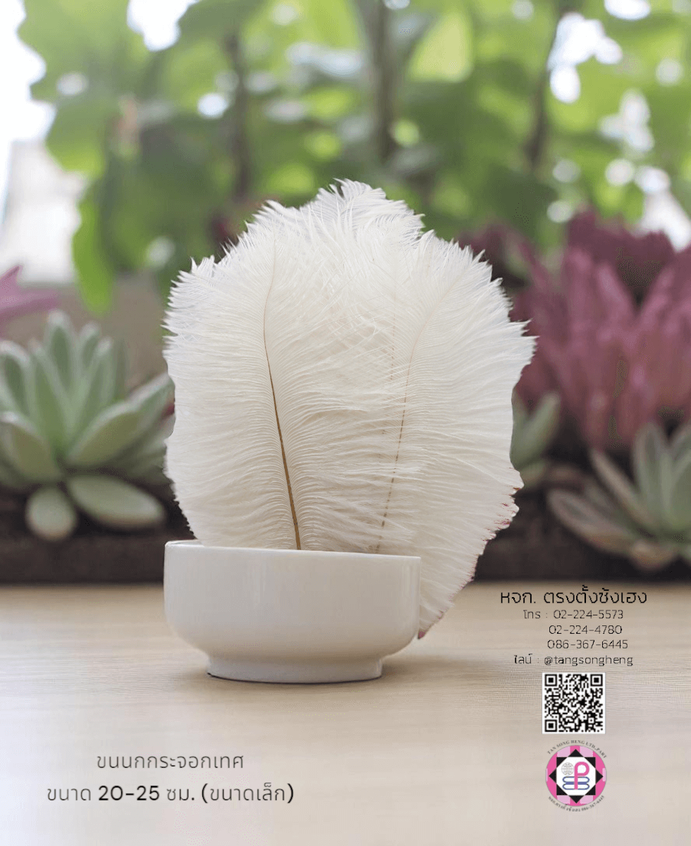 ขนนกกระจอกเทศเป็นก้าน ขนาดเล็ก 20-25 ซม. สีขาว แพ็ค 10 ก้าน