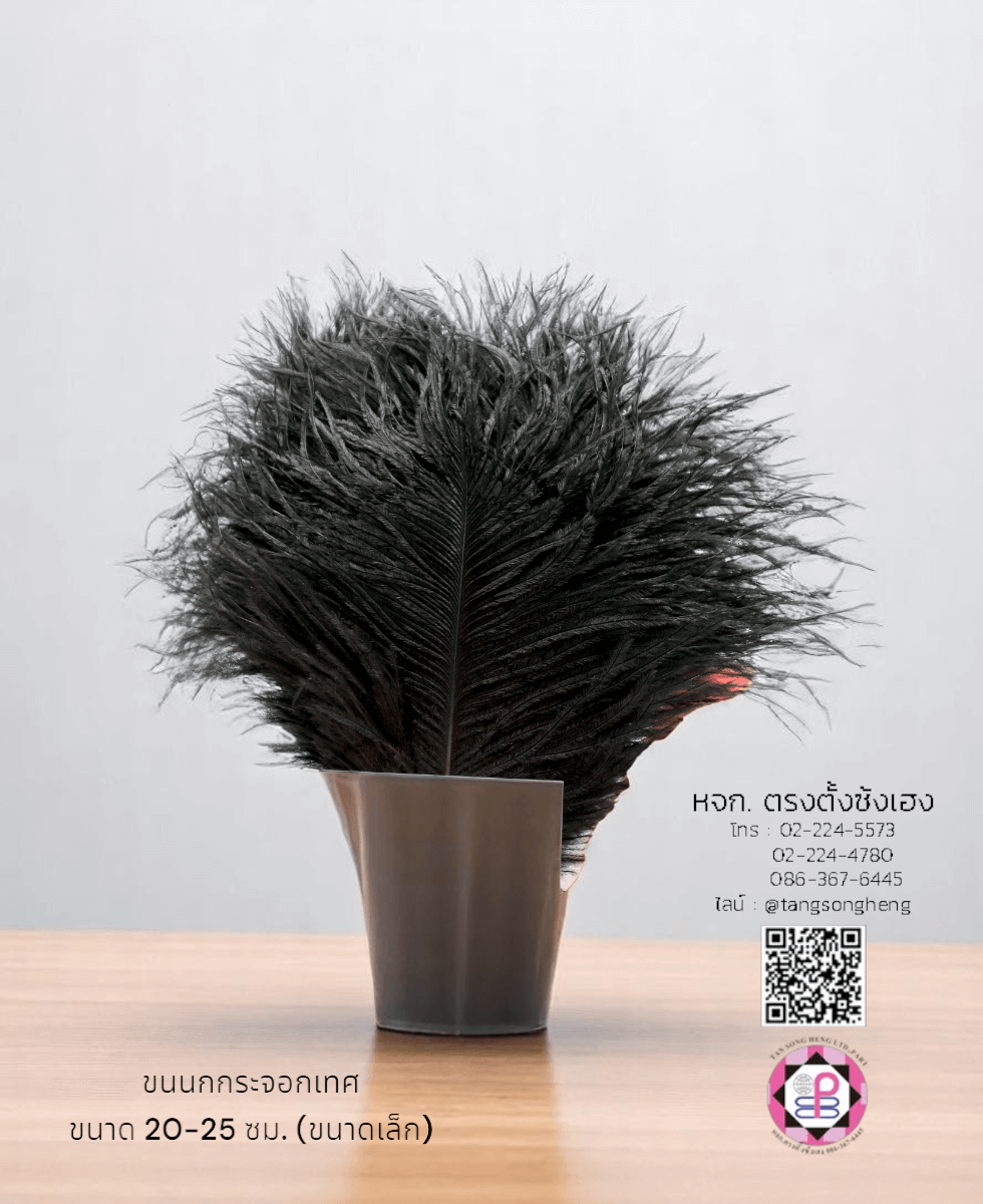 ขนนกกระจอกเทศเป็นก้าน ขนาดเล็ก 20-25 ซม. สีดำ แพ็ค 10 ก้าน