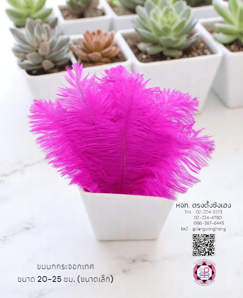 ขนนกกระจอกเทศเป็นก้าน ขนาดเล็ก 20-25 ซม. สีบานเย็น แพ็ค 10 ก้าน