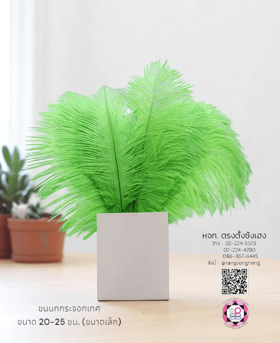 ขนนกกระจอกเทศเป็นก้าน ขนาดเล็ก 20-25 ซม. สีเขียวตอง แพ็ค 10 ก้าน