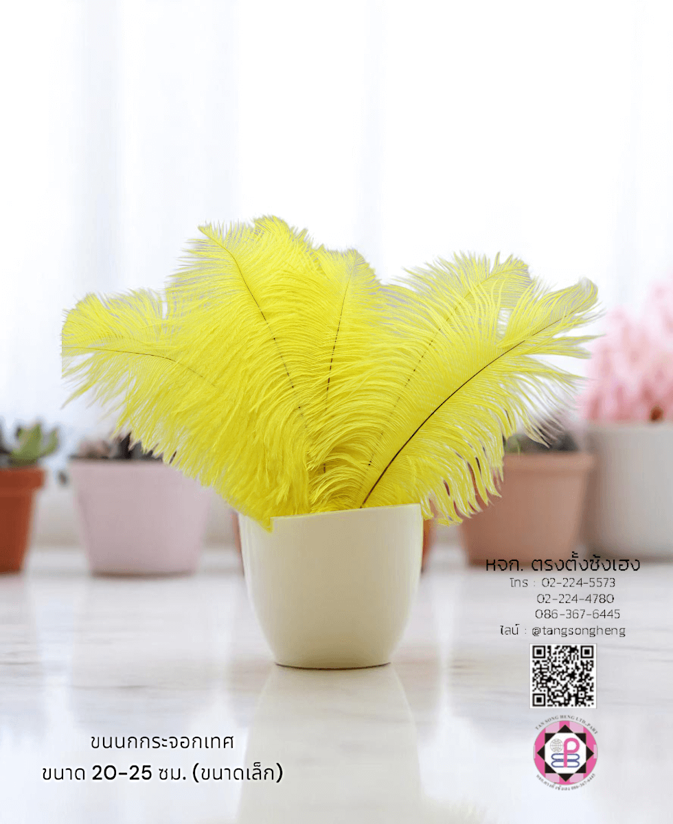 ขนนกกระจอกเทศเป็นก้าน ขนาดเล็ก 20-25 ซม. สีเหลือง แพ็ค 10 ก้าน