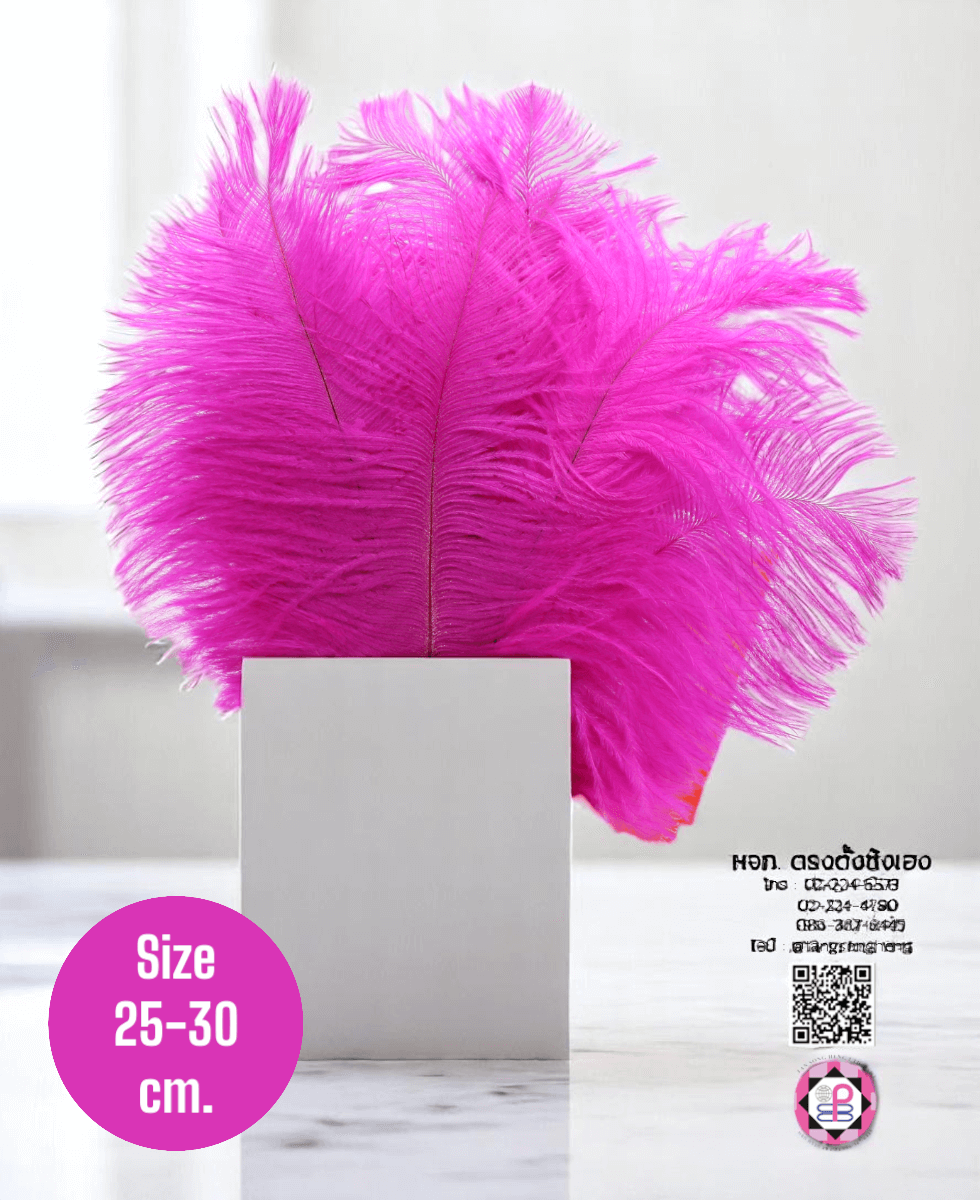 ขนนกกระจอกเทศเป็นก้าน ขนาดกลาง 25-30 ซม. สีบานเย็น แพ็ค 10 ก้าน