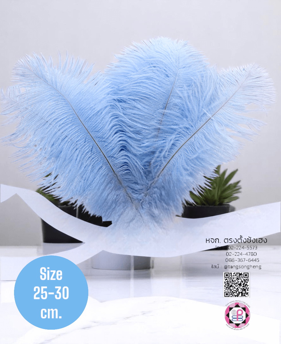 ขนนกกระจอกเทศเป็นก้าน ขนาดกลาง 25-30 ซม. สีฟ้าอ่อน แพ็ค 10 ก้าน