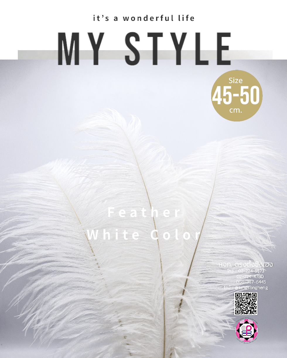 ขนนกกระจอกเทศเป็นก้าน ขนาด 45-50 ซม. สีขาว แพ็ค 5 ก้าน