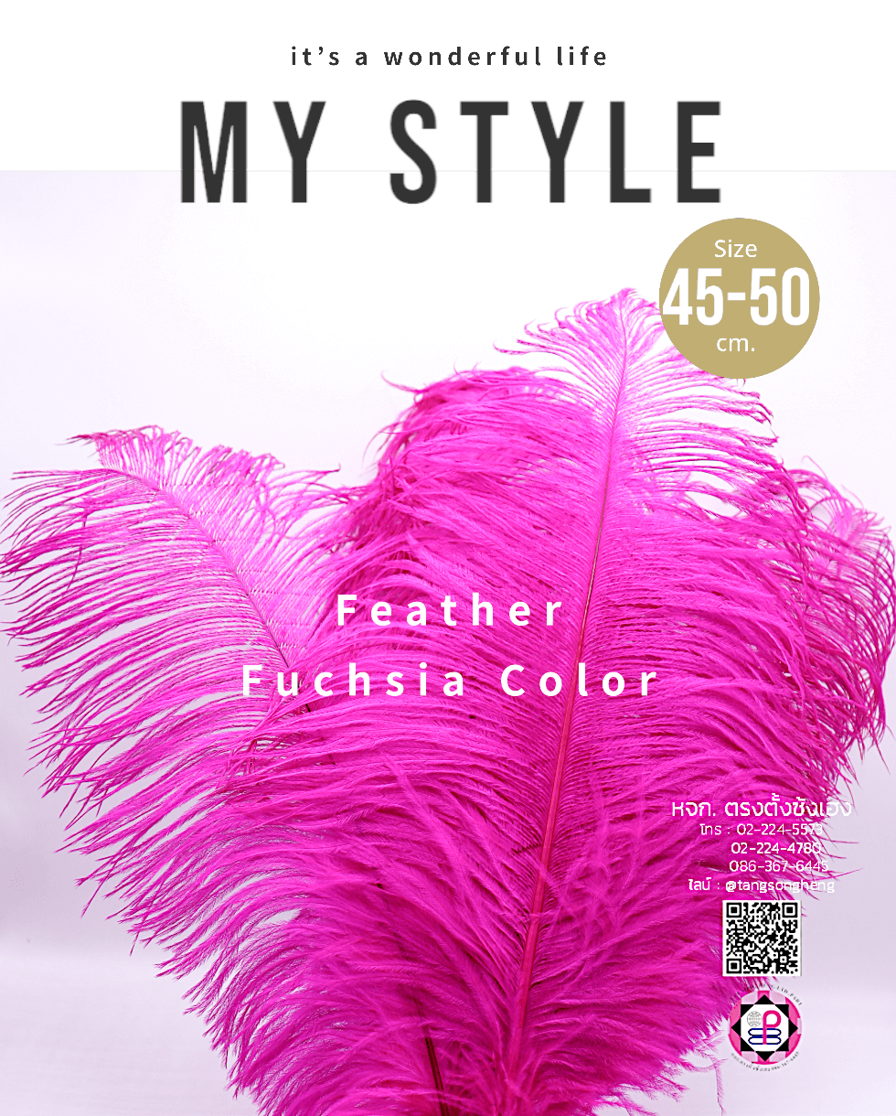 ขนนกกระจอกเทศเป็นก้าน ขนาด 45-50 ซม. สีบานเย็น แพ็ค 5 ก้าน